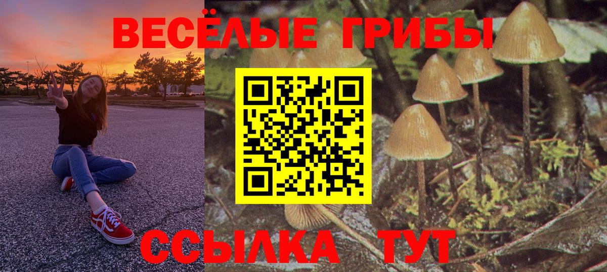 где продают наркотики  Псилоцибиновые грибы GOLDEN TEACHER  Псилоцибиновые грибы Psilocybe  Вход с VPN  Наро-Фоминск 